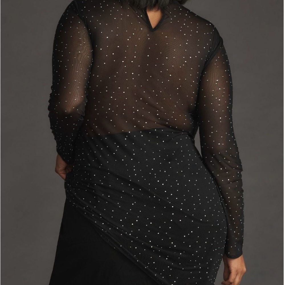 NWOT Eva Franco Starlight Sheer Tunic - Picture 2 of 6